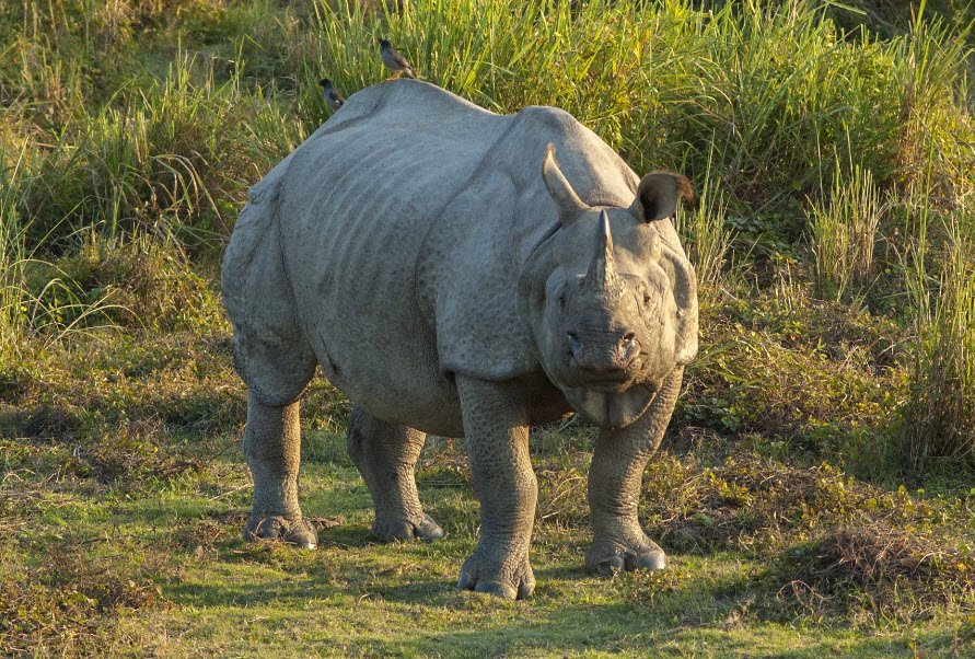 Pualreng Wildlife Sanctuary